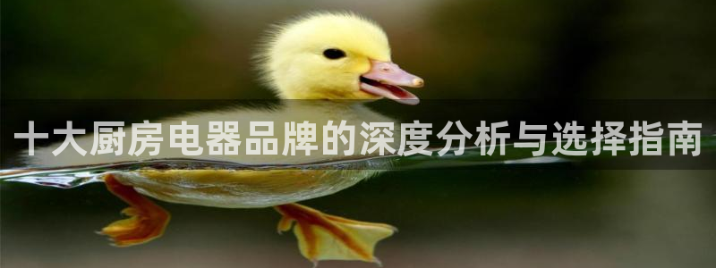 风暴娱乐部