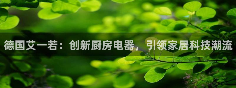 风暴娱乐点